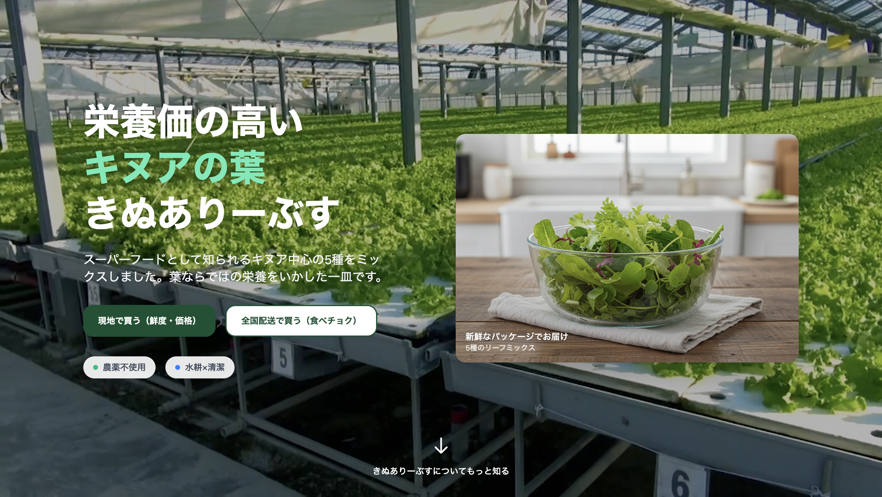 M式水耕研究所様